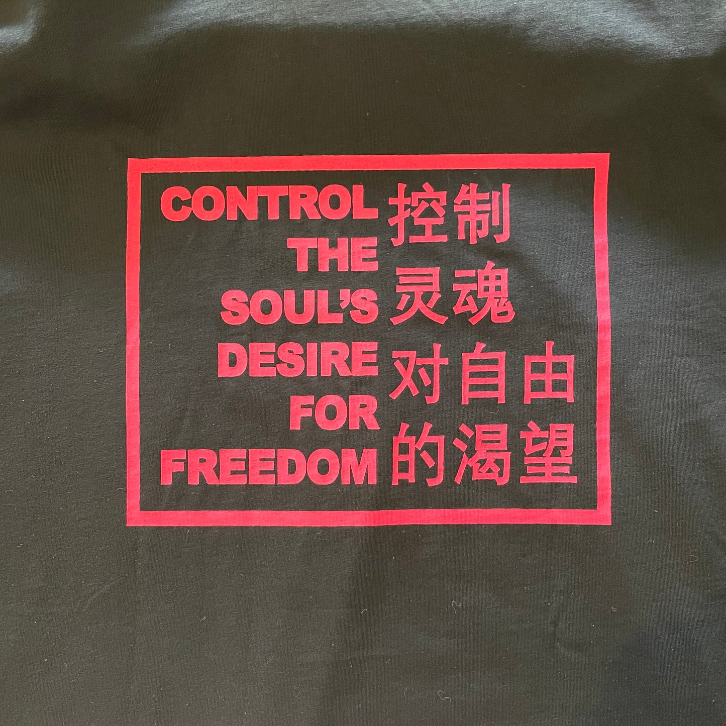 Control the soul's desire for freedom